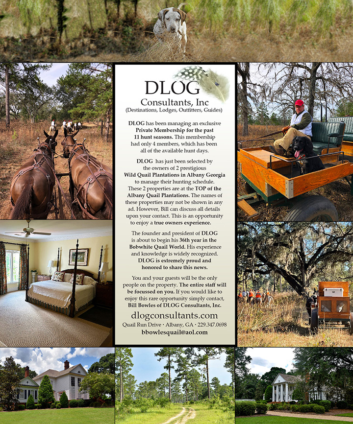 Wild Quail Properties